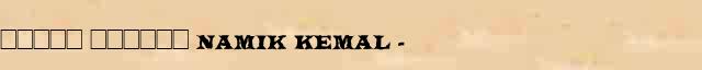 ����� ������ (Namik Kemal) (1840-88) ������� ���������(������) � ������� ����������������� ����������� ������� 